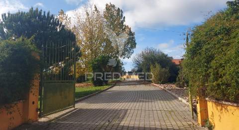 Moradia t5 com piscina em achete a 10 minutos de santarém.