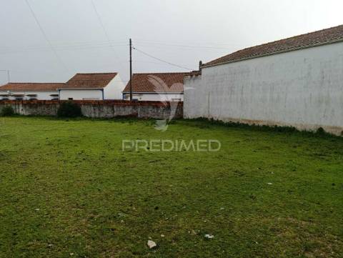 Moradia com adega e terreno - excelente oportunidade