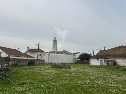 Moradia com adega e terreno - excelente oportunidade