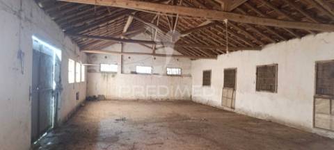 Moradia com adega e terreno - excelente oportunidade