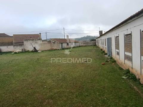 Moradia com adega e terreno - excelente oportunidade