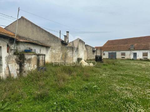 Moradia com adega e terreno - excelente oportunidade