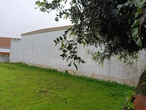 Moradia com adega e terreno - excelente oportunidade