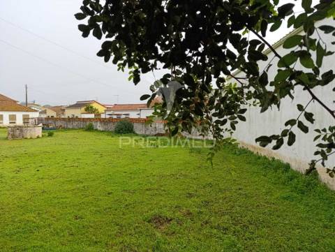 Moradia com adega e terreno - excelente oportunidade