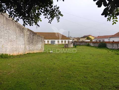 Moradia com adega e terreno - excelente oportunidade