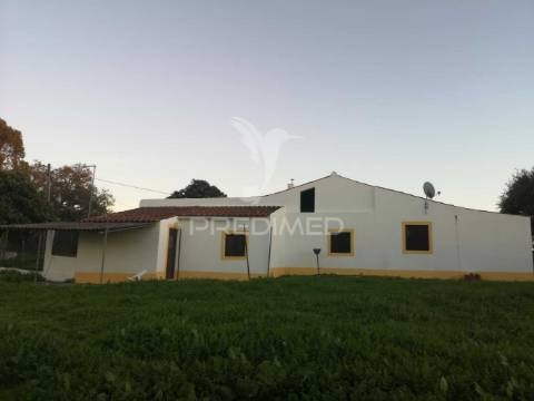 Monte alentejano nas ademas