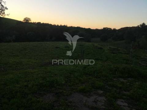 Monte alentejano nas ademas