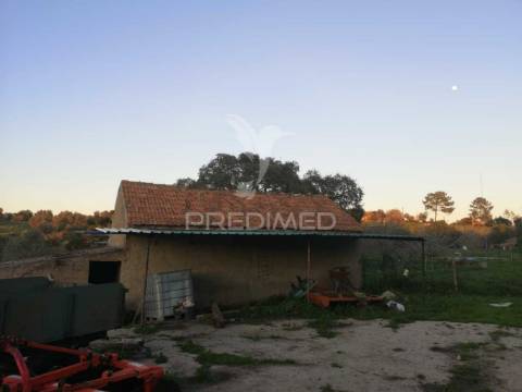 Monte alentejano nas ademas