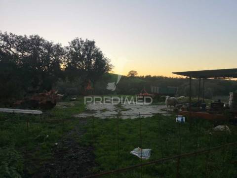 Monte alentejano nas ademas