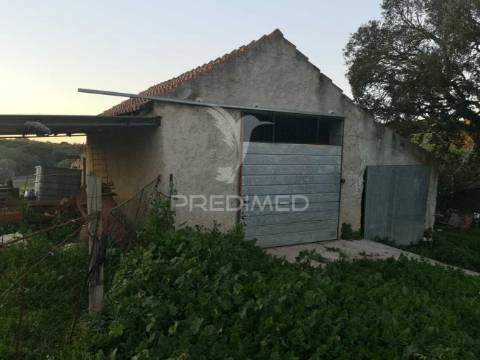 Monte alentejano nas ademas