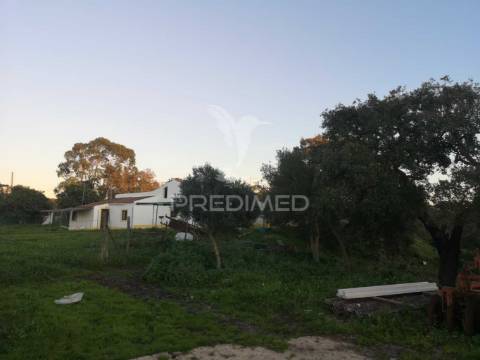 Monte alentejano nas ademas