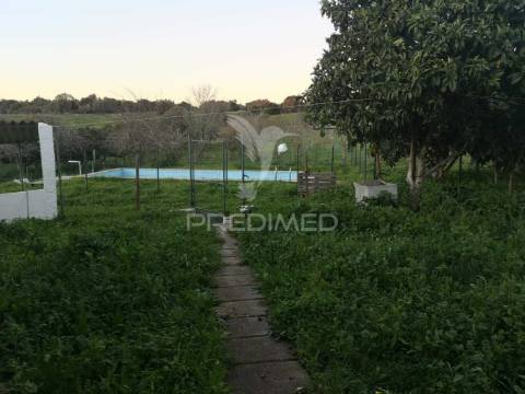 Monte alentejano nas ademas