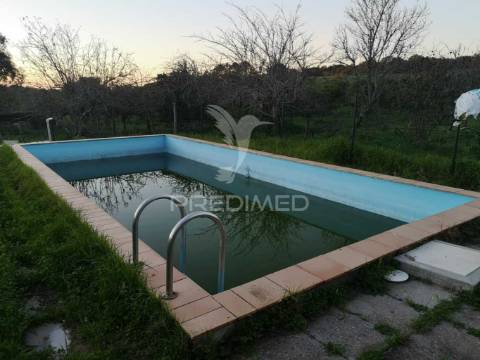 Monte alentejano nas ademas