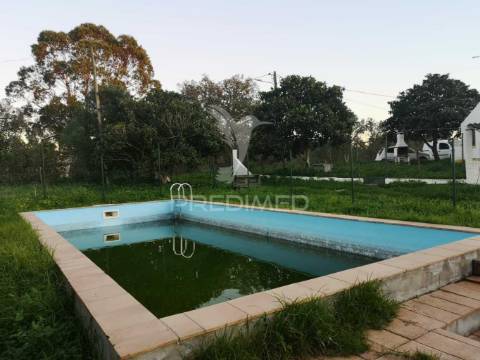 Monte alentejano nas ademas