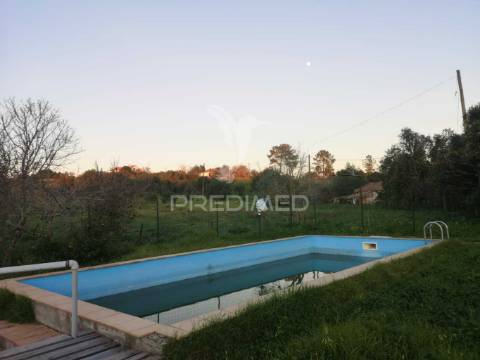 Monte alentejano nas ademas