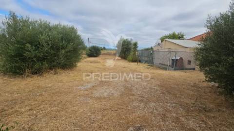 Moradia com espaço comercial