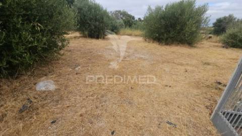 Moradia com espaço comercial