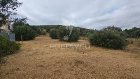 Moradia com espaço comercial