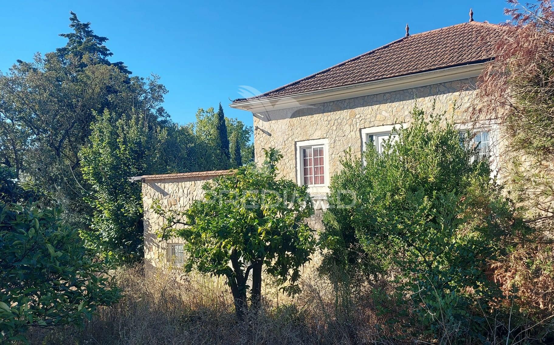 Quinta com moradia t4, piscina, terreno com 3 ha, santarém.