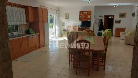 Quinta com moradia t4, piscina, terreno com 3 ha, santarém.