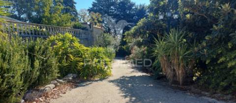 Quinta com moradia t4, piscina, terreno com 3 ha, santarém.