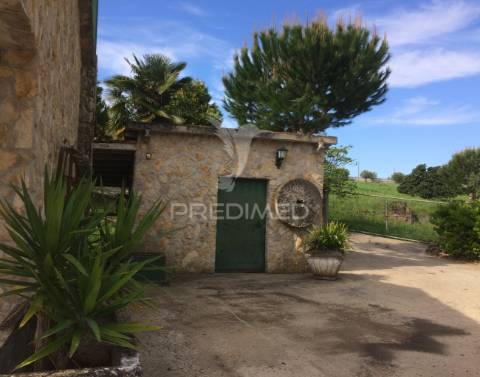 Quinta com moradia t4, piscina, terreno com 3 ha, santarém.