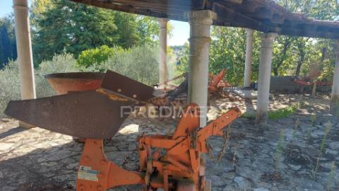 Quinta com moradia t4, piscina, terreno com 3 ha, santarém.