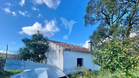 Casa antiga em rio maior