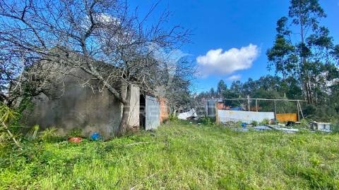 Casa antiga em rio maior
