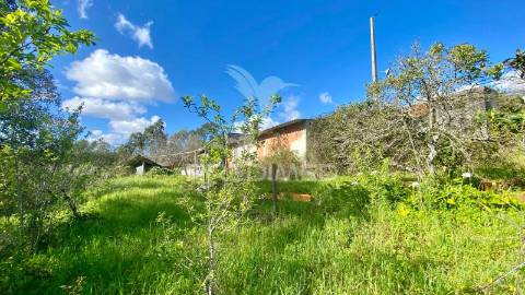 Casa antiga em rio maior