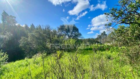 Casa antiga em rio maior