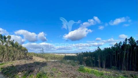 Casa antiga em rio maior