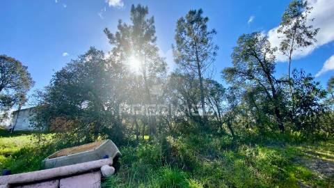 Casa antiga em rio maior