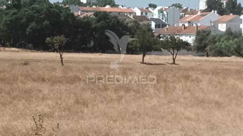 Vendesse quinta na moita