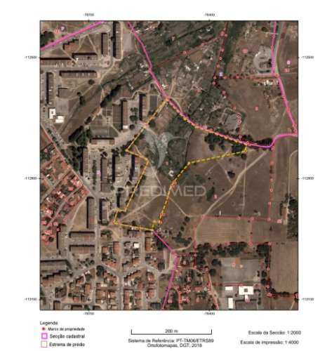 Vendesse quinta na moita