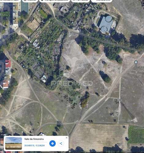 Vendesse quinta na moita