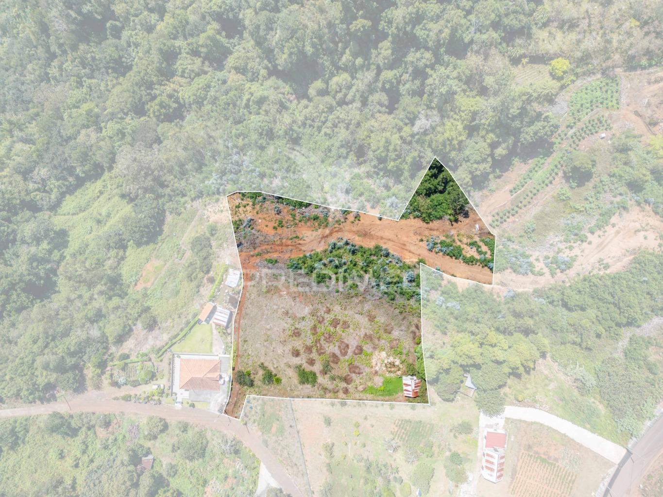 Terreno com palheiro vista mar e montanha no santo da serra