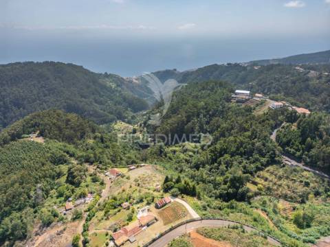 Terreno com palheiro vista mar e montanha no santo da serra