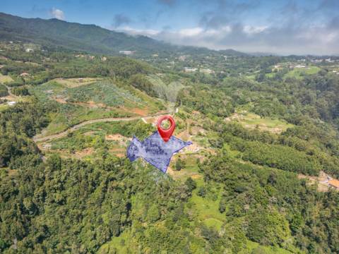 Terreno com palheiro vista mar e montanha no santo da serra