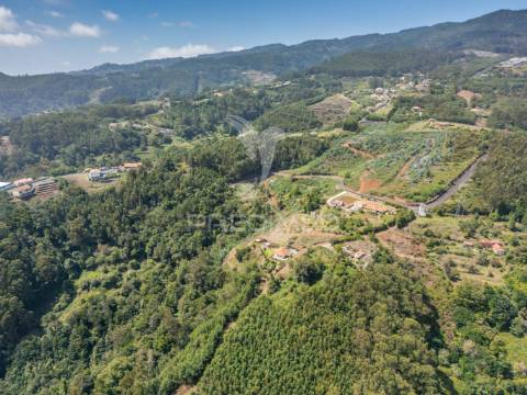 Terreno com palheiro vista mar e montanha no santo da serra