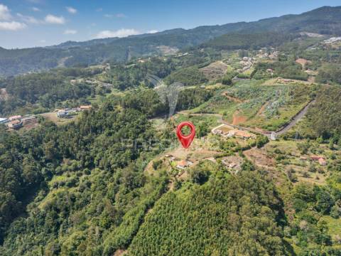 Terreno com palheiro vista mar e montanha no santo da serra