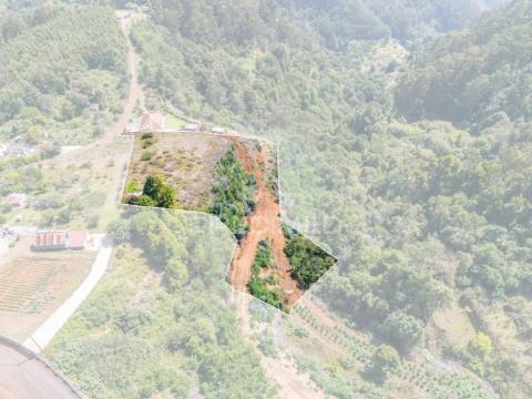 Terreno com palheiro vista mar e montanha no santo da serra