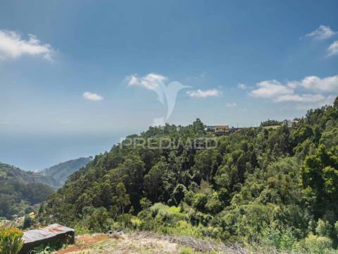 Terreno com palheiro vista mar e montanha no santo da serra
