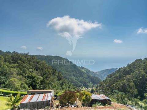 Terreno com palheiro vista mar e montanha no santo da serra