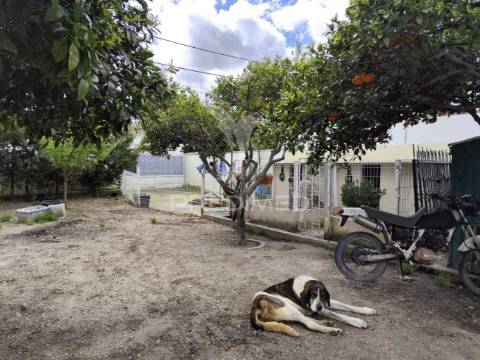 Moradia t3 / próximo da moita