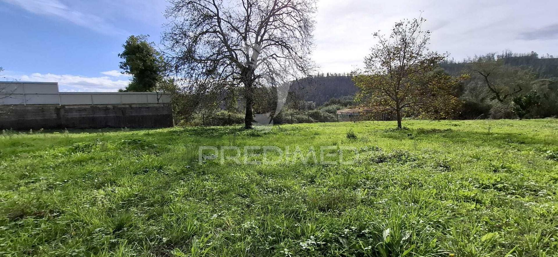 Terreno rústico de 2550 m2, dos quais 1100 m2 para construção