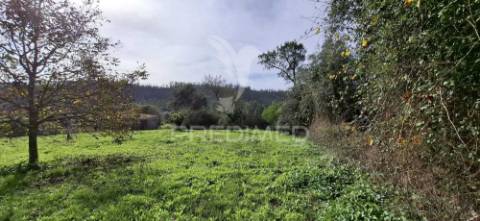 Terreno rústico de 2550 m2, dos quais 1100 m2 para construção