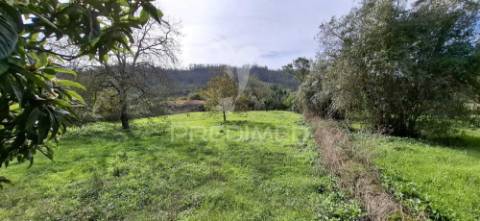Terreno rústico de 2550 m2, dos quais 1100 m2 para construção