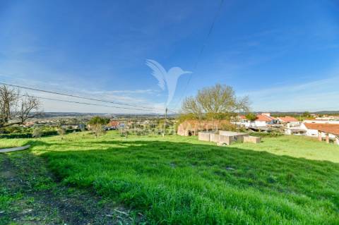 Terreno rústico de 6291m2 e 125m2 de área urbana, portela