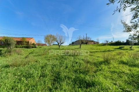 Terreno rústico de 6291m2 e 125m2 de área urbana, portela